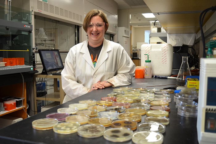 University of Oklahoma research assistant Karen Wendt with petri dishes. Photo provided by OU.