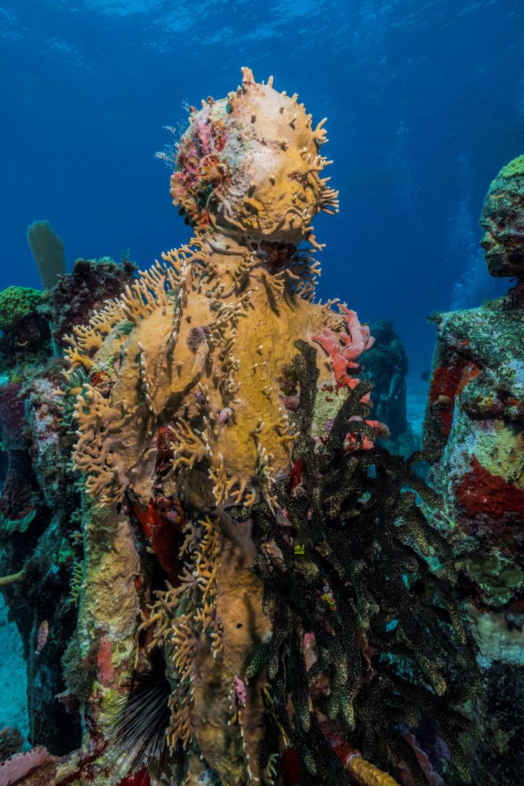 Jason deCaires Taylor