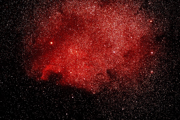 North American Nebula. Photo by Tom Arnold.