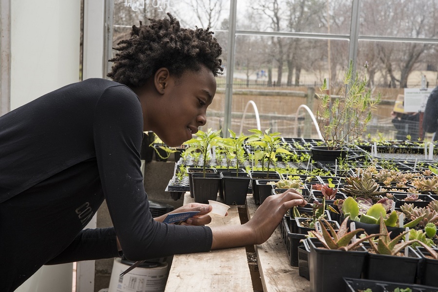 A child inspects plants in a greenhouse at Science Museum Oklahoma