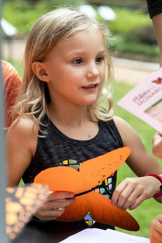 Follow the Monarchs at Science Museum Oklahoma Follow the Monarchs at Science Museum Oklahoma