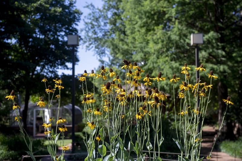 The Gardens at Science Museum Oklahoma