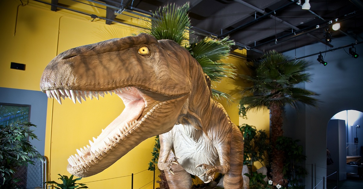 red-dirt-dinosaurs-science-museum-oklahoma red-dirt-dinosaurs-science-museum-oklahoma