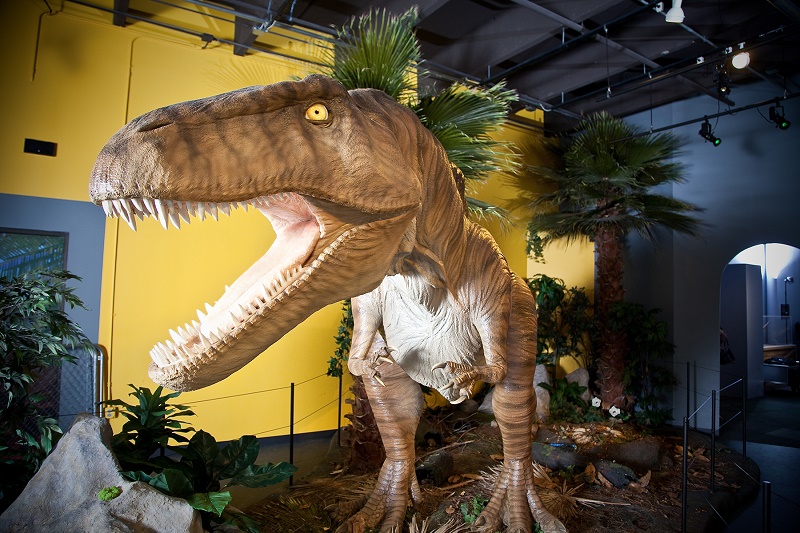 Acrocanthosaurus in Science Museum Oklahoma's Red Dirt Dinos