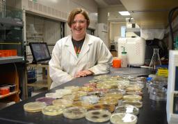 University of Oklahoma research assistant Karen Wendt with petri dishes. Photo provided by OU.