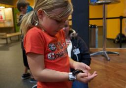 A child holds at Madagascar hissing cockroach at Science Museum Oklahoma