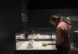 Bodies Revealed at Science Museum Oklahoma