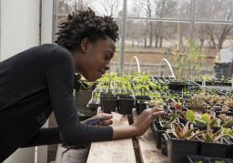 A child inspects plants in a greenhouse at Science Museum Oklahoma