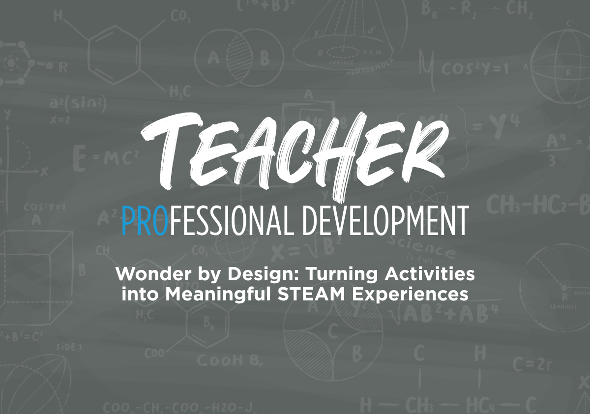 Professional Development Workshop for Teachers