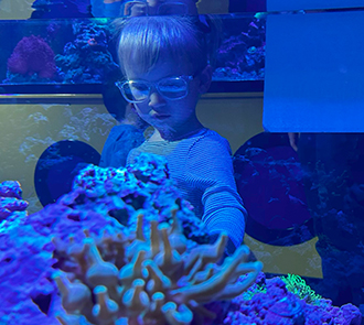 A child observes vibrant coral and marine life in the Oceanarium at Science Museum Oklahoma’s hands-on aquarium exhibit.