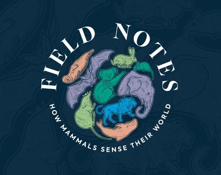 Logo of the exhibition Field Notes at Science Museum Oklahoma.