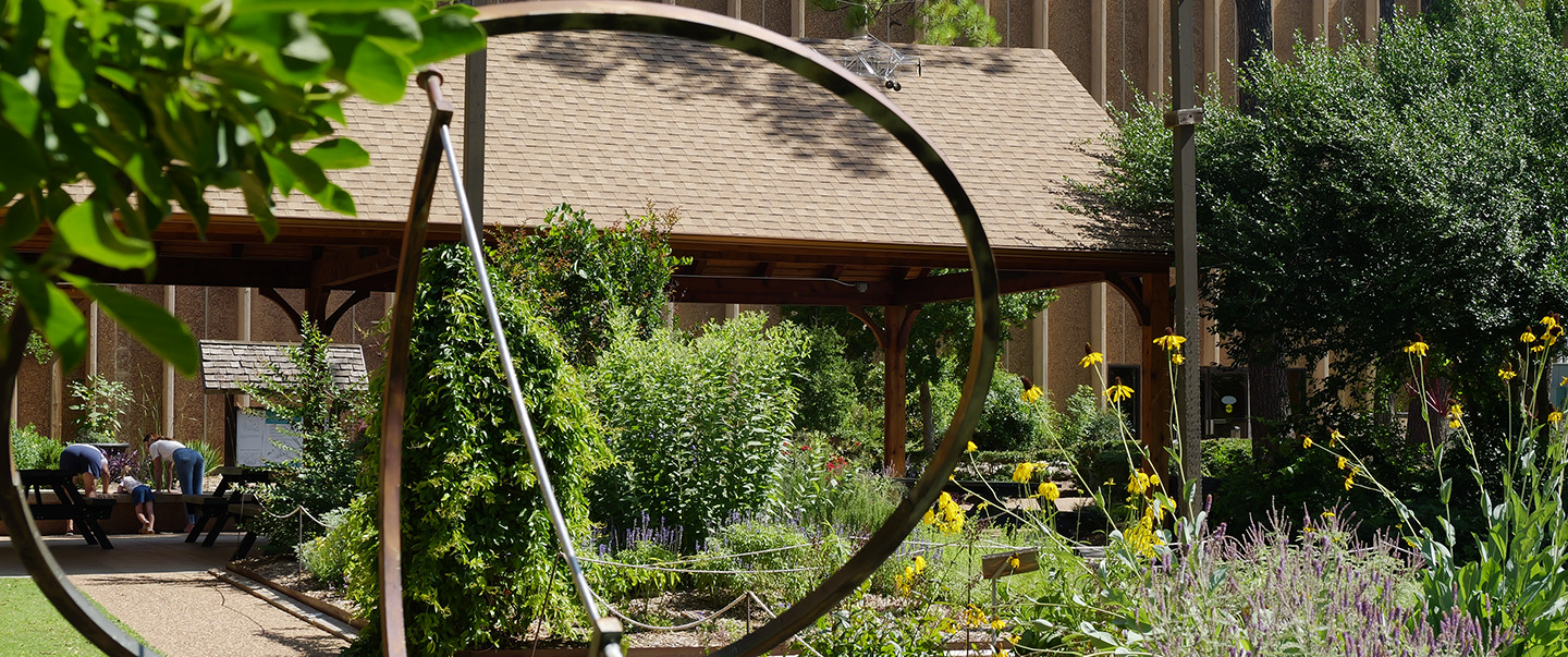 View of the outdoor gardens at Science Museum Oklahoma featuring vibrant plants, yellow flowers, a large metal sculpture, and a shaded pavilion surrounded by greenery.