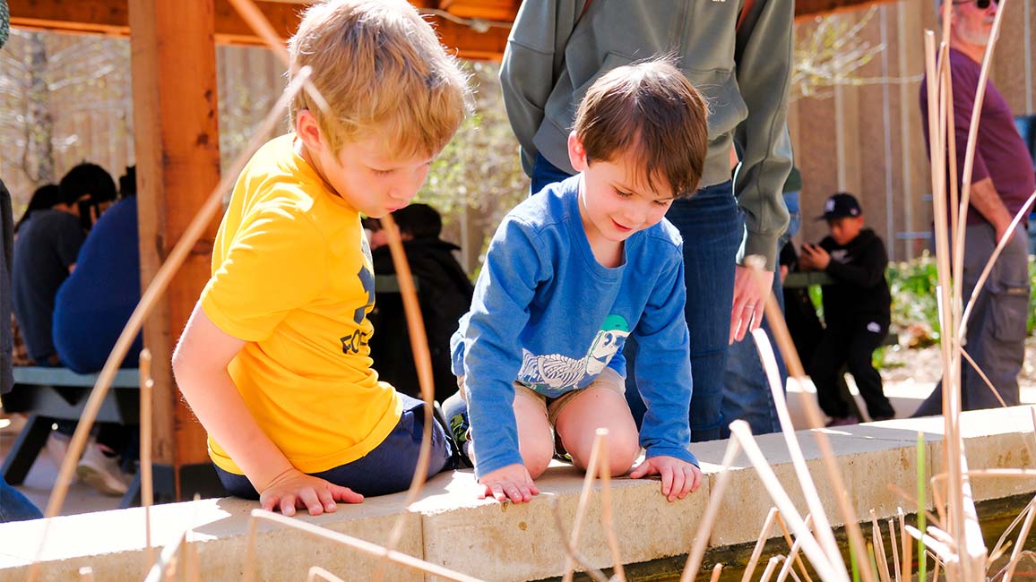 Children explore the outdoor pond habitat at Science Museum Oklahoma’s Gardens, engaging with hands-on science and nature activities.