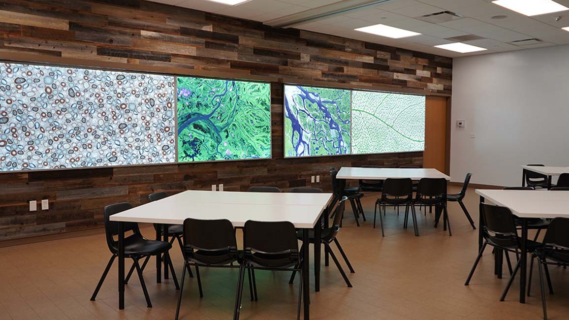 Nature-themed event space at Science Museum Oklahoma with wood-paneled walls, bright scientific imagery, square tables, and a clean, modern design for learning and celebration.